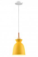 Подвесной светильник Marylou TL1202H-01YE