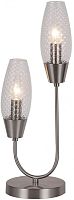 Интерьерная настольная лампа Desire 10165/2 Nickel