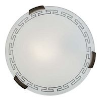 Настенно-потолочный светильник Greca 261