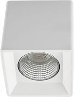 Точечный светильник DK3030 DK3080-WH+CH