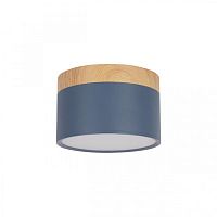 Точечный светильник Grape 10162 Blue