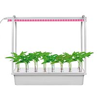 Настольная лампа для растений  ULT-P44B-10W/SPSB IP40 AQUA SIMPLE WHITE