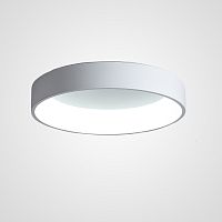 Потолочный светильник  TRAY01