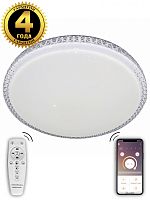Потолочный светильник LED LAMPS LED LAMPS 81077