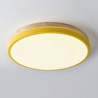 Потолочный светильник  DISC-DH01