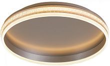 Потолочный светильник Shinning ring 41695
