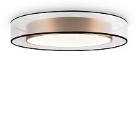 Потолочный светильник Zoticus FR6005CL-L48G