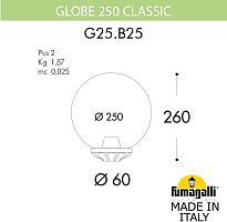 Уличный консольный светильник GLOBE 250 G25.B25.000.VZF1R