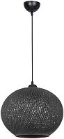 Подвесной светильник Lizbeth TL1612H-01BK